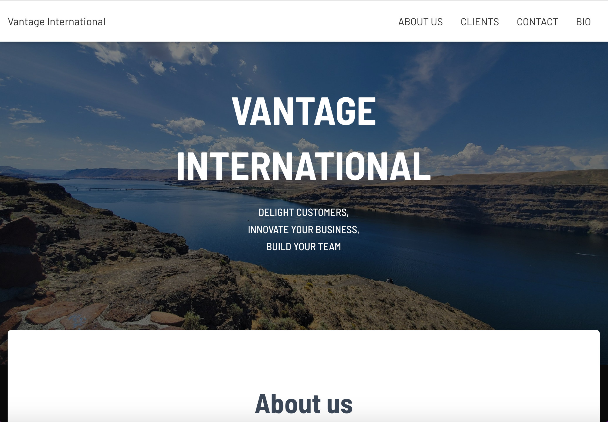 Vantage International screenshot link